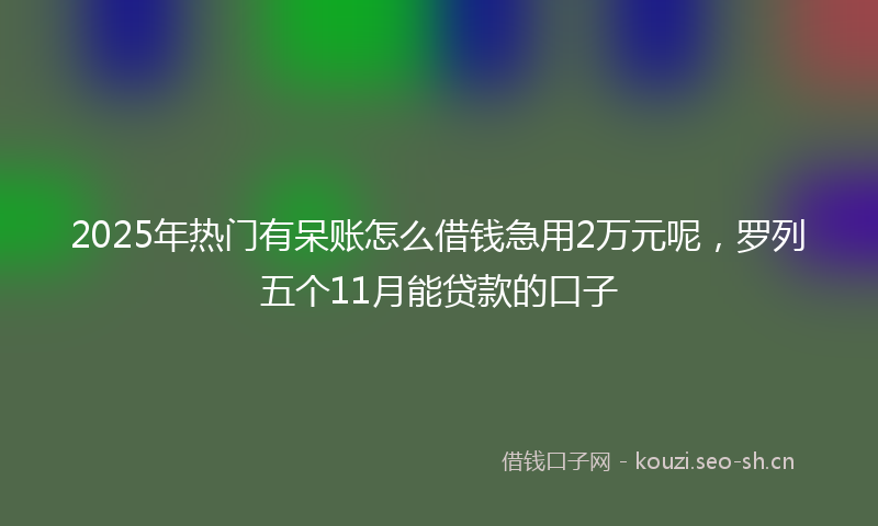 2025年热门有呆账怎么借钱急用2万元呢，罗列五个11月能贷款的口子