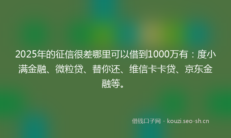 2025年的征信很差哪里可以借到1000万有：度小满金融、微粒贷、替你还、维信卡卡贷、京东金融等。