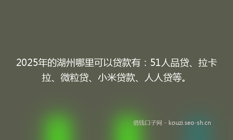 2025年的湖州哪里可以贷款有：51人品贷、拉卡拉、微粒贷、小米贷款、人人贷等。