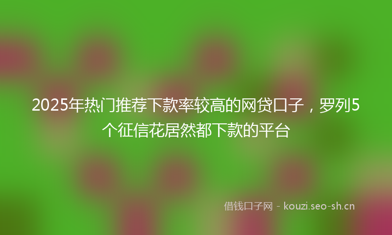 2025年热门推荐下款率较高的网贷口子，罗列5个征信花居然都下款的平台