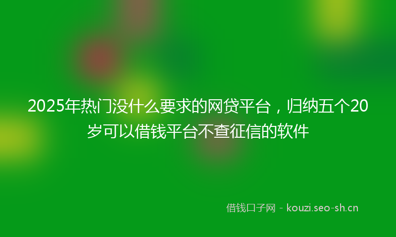 2025年热门没什么要求的网贷平台，归纳五个20岁可以借钱平台不查征信的软件