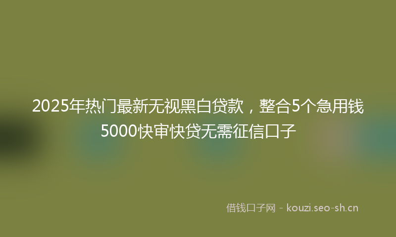 2025年热门最新无视黑白贷款，整合5个急用钱5000快审快贷无需征信口子