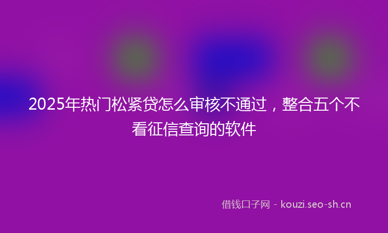 2025年热门松紧贷怎么审核不通过，整合五个不看征信查询的软件