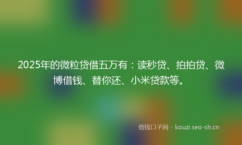 2025年的微粒贷借五万有:读秒贷、拍拍贷、微博借钱、替你还、小米贷款等。