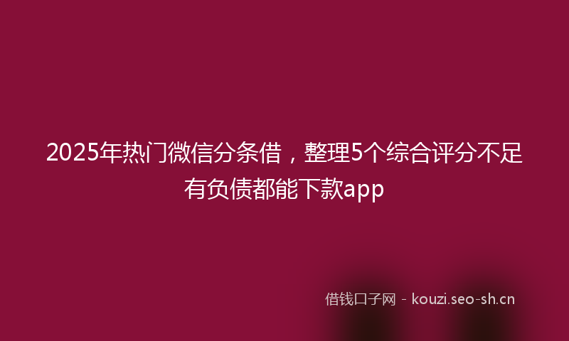 2025年热门微信分条借,整理5个综合评分不足有负债都能下款app