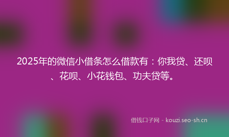 2025年的微信小借条怎么借款有：你我贷、还呗、花呗、小花钱包、功夫贷等。