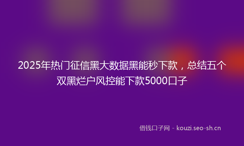 2025年热门征信黑大数据黑能秒下款,总结五个双黑烂户风控能下款5000口子