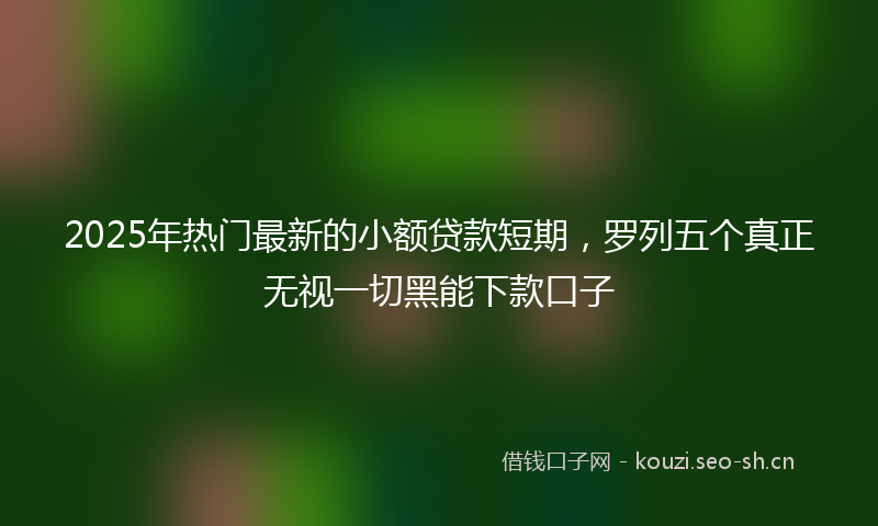 2025年热门最新的小额贷款短期，罗列五个真正无视一切黑能下款口子