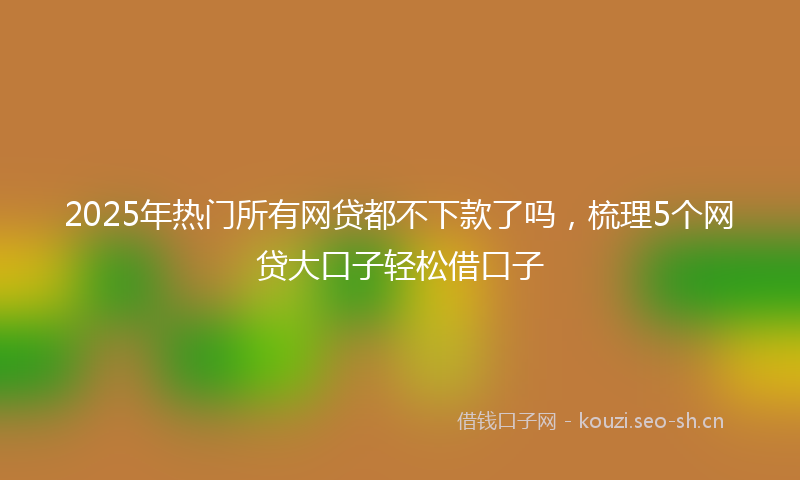 2025年热门所有网贷都不下款了吗，梳理5个网贷大口子轻松借口子