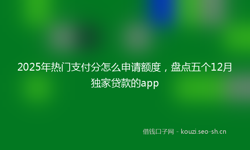 2025年热门支付分怎么申请额度,盘点五个12月独家贷款的app