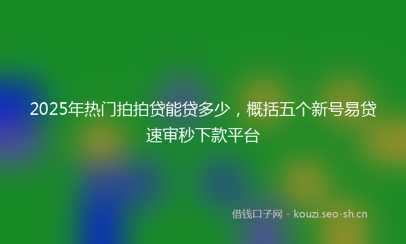 2025年热门拍拍贷能贷多少，概括五个新号易贷速审秒下款平台