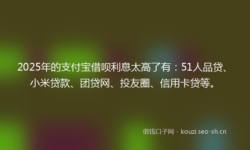 2025年的支付宝借呗利息太高了有:51人品贷、小米贷款、团贷网、投友圈、信用卡贷等。