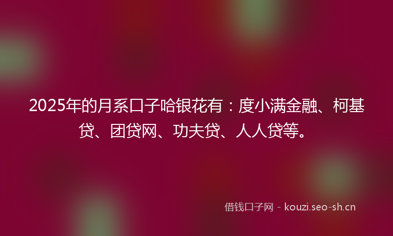 2025年的月系口子哈银花有：度小满金融、柯基贷、团贷网、功夫贷、人人贷等。