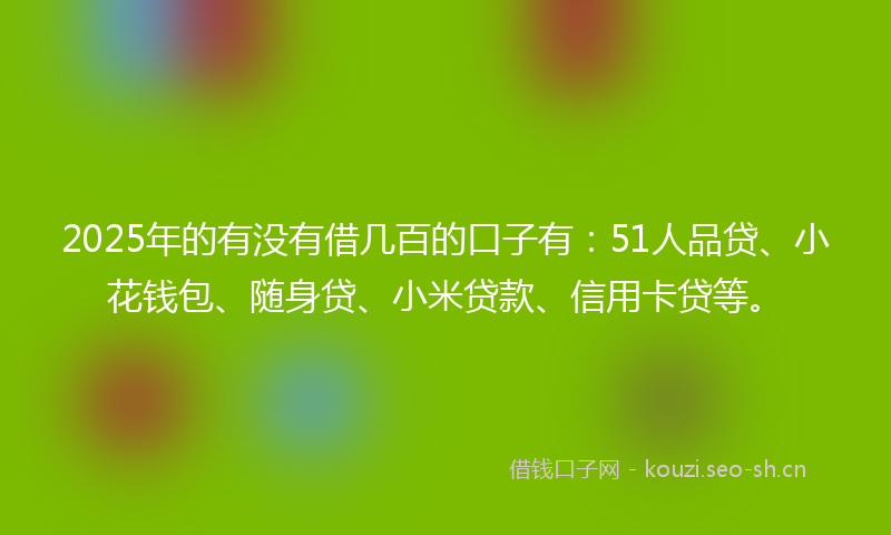 2025年的有没有借几百的口子有：51人品贷、小花钱包、随身贷、小米贷款、信用卡贷等。
