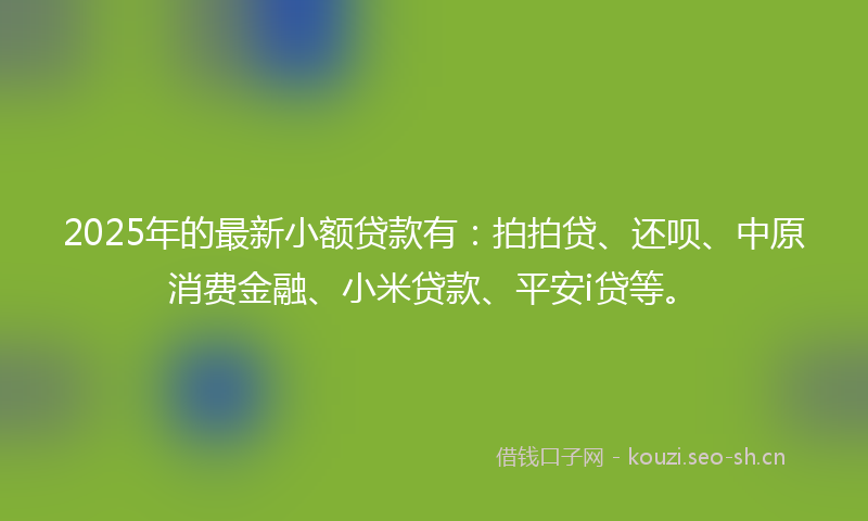 2025年的最新小额贷款有：拍拍贷、还呗、中原消费金融、小米贷款、平安i贷等。