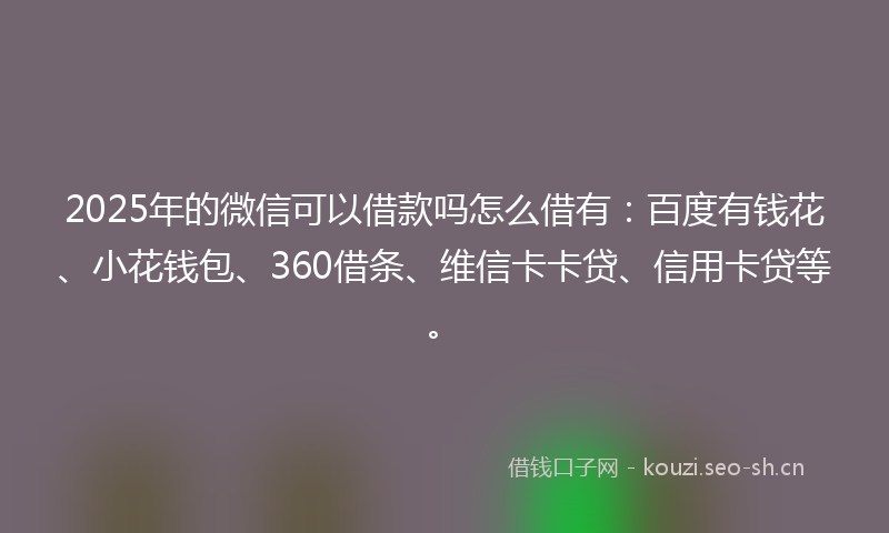 2025年的微信可以借款吗怎么借有：百度有钱花、小花钱包、360借条、维信卡卡贷、信用卡贷等。