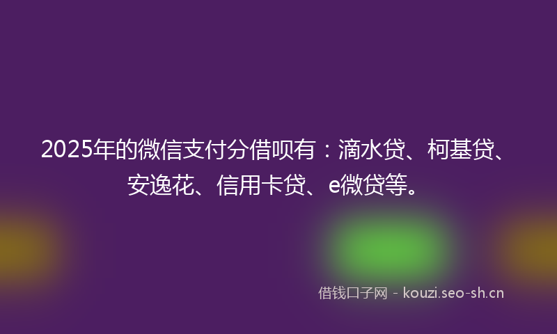 2025年的微信支付分借呗有：滴水贷、柯基贷、安逸花、信用卡贷、e微贷等。