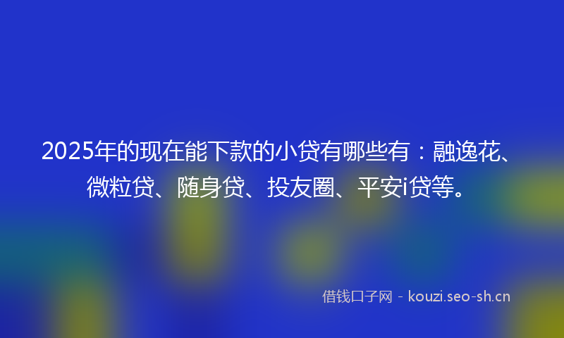 2025年的现在能下款的小贷有哪些有：融逸花、微粒贷、随身贷、投友圈、平安i贷等。