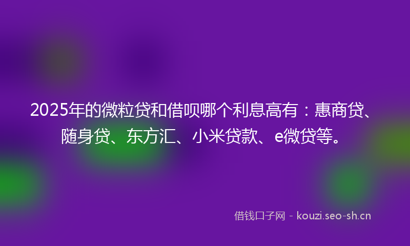 2025年的微粒贷和借呗哪个利息高有：惠商贷、随身贷、东方汇、小米贷款、e微贷等。