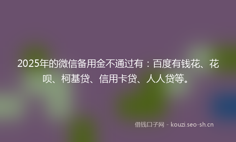 2025年的微信备用金不通过有：百度有钱花、花呗、柯基贷、信用卡贷、人人贷等。