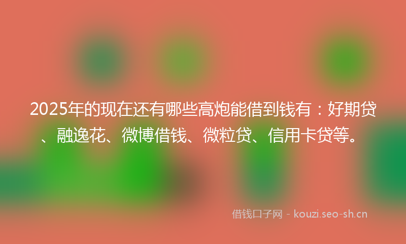 2025年的现在还有哪些高炮能借到钱有：好期贷、融逸花、微博借钱、微粒贷、信用卡贷等。
