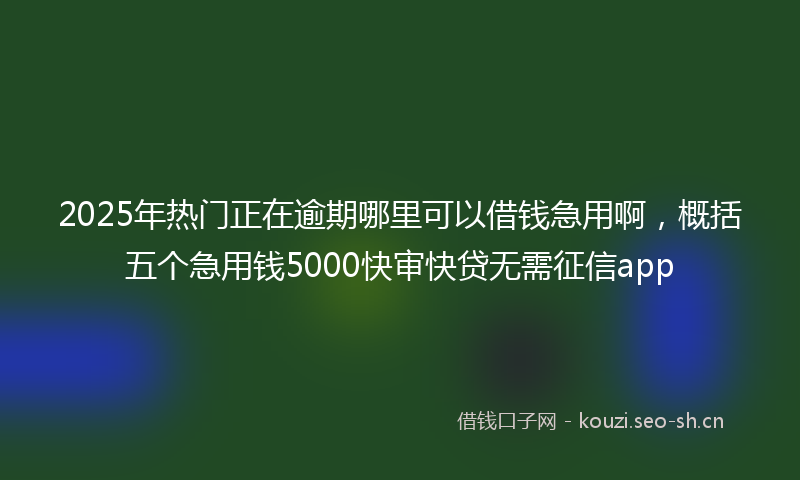 2025年热门正在逾期哪里可以借钱急用啊，概括五个急用钱5000快审快贷无需征信app