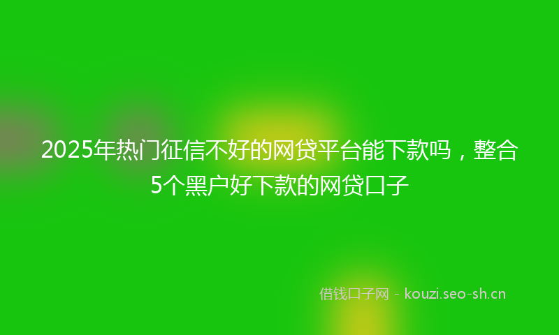 2025年热门征信不好的网贷平台能下款吗，整合5个黑户好下款的网贷口子