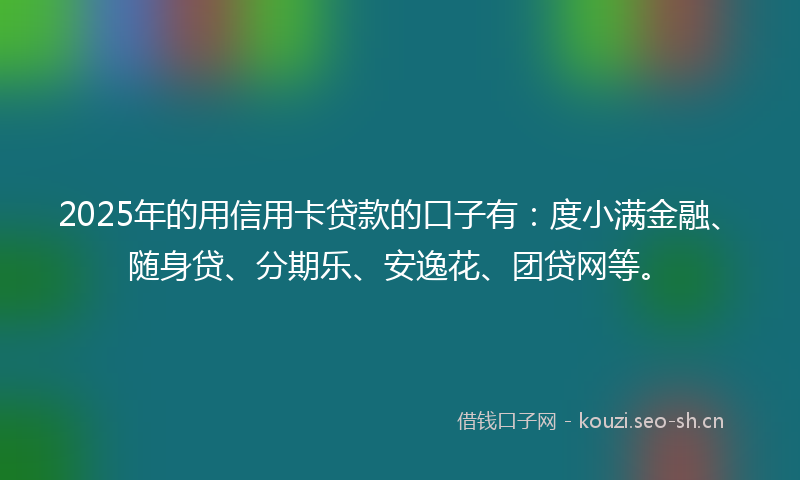 2025年的用信用卡贷款的口子有：度小满金融、随身贷、分期乐、安逸花、团贷网等。