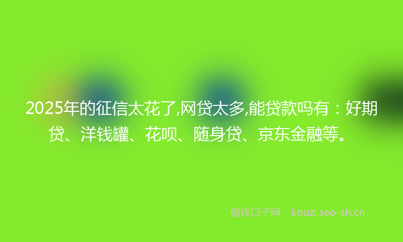 2025年的征信太花了,网贷太多,能贷款吗有：好期贷、洋钱罐、花呗、随身贷、京东金融等。