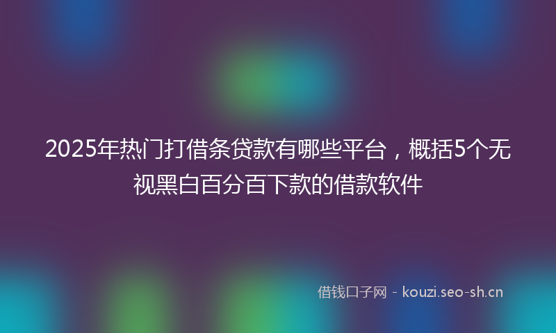 2025年热门打借条贷款有哪些平台，概括5个无视黑白百分百下款的借款软件