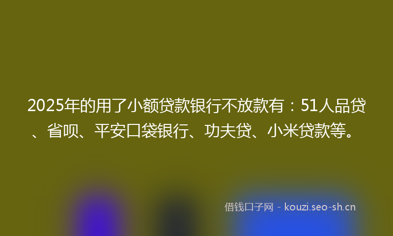 2025年的用了小额贷款银行不放款有：51人品贷、省呗、平安口袋银行、功夫贷、小米贷款等。