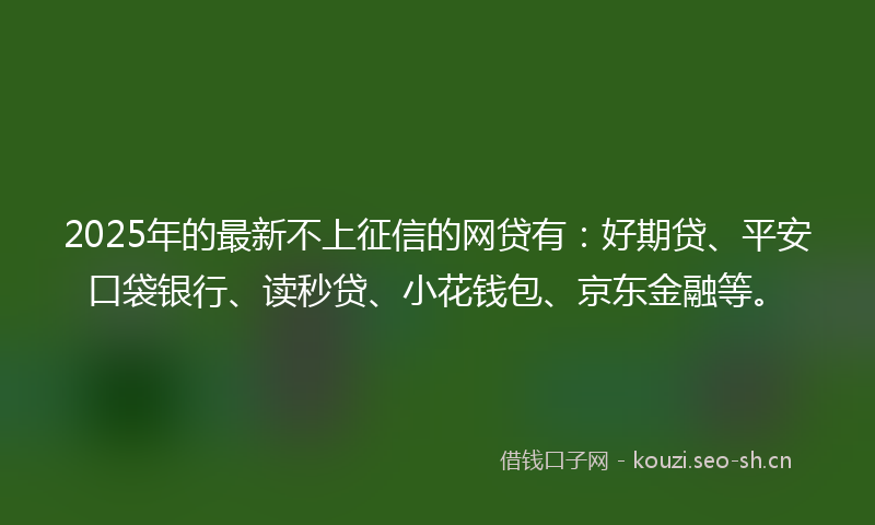 2025年的最新不上征信的网贷有：好期贷、平安口袋银行、读秒贷、小花钱包、京东金融等。