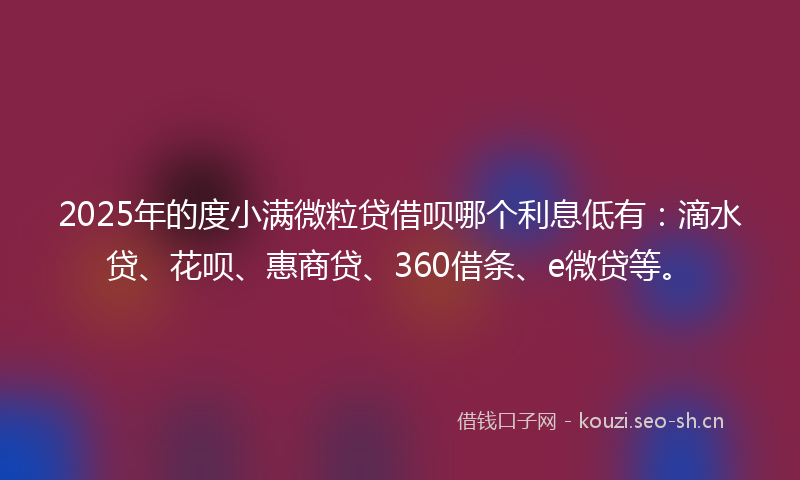 2025年的度小满微粒贷借呗哪个利息低有：滴水贷、花呗、惠商贷、360借条、e微贷等。