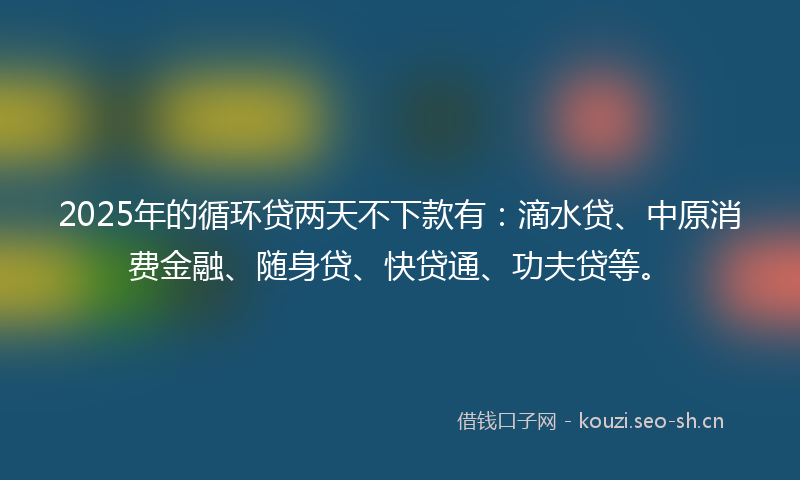2025年的循环贷两天不下款有：滴水贷、中原消费金融、随身贷、快贷通、功夫贷等。