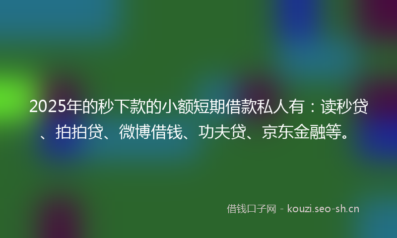 2025年的秒下款的小额短期借款私人有：读秒贷、拍拍贷、微博借钱、功夫贷、京东金融等。