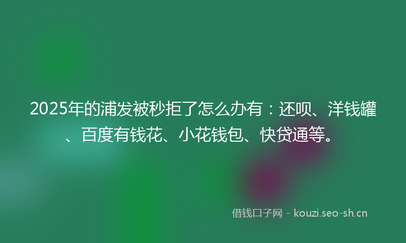 2025年的浦发被秒拒了怎么办有:还呗、洋钱罐、百度有钱花、小花钱包、快贷通等。