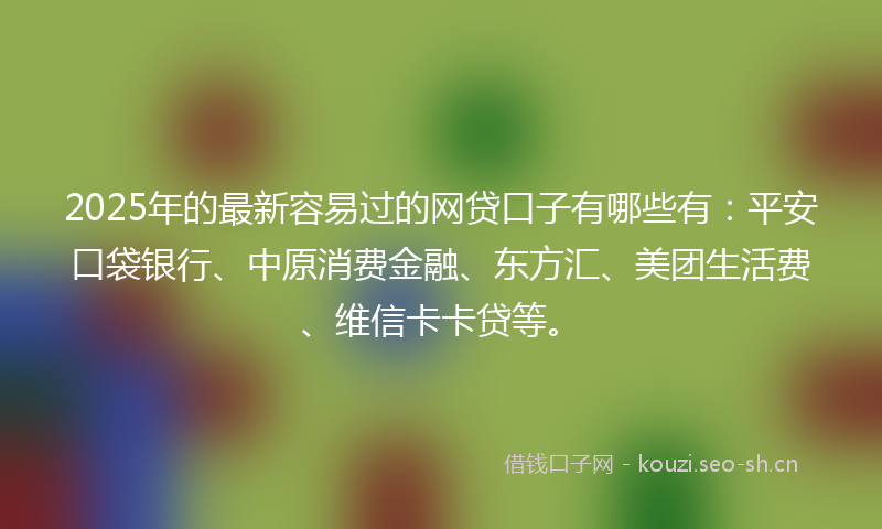 2025年的最新容易过的网贷口子有哪些有：平安口袋银行、中原消费金融、东方汇、美团生活费、维信卡卡贷等。