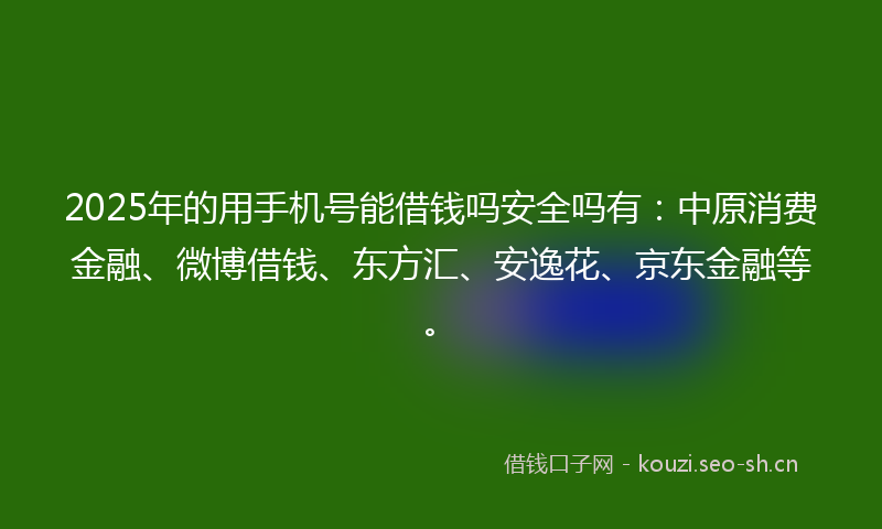 2025年的用手机号能借钱吗安全吗有：中原消费金融、微博借钱、东方汇、安逸花、京东金融等。