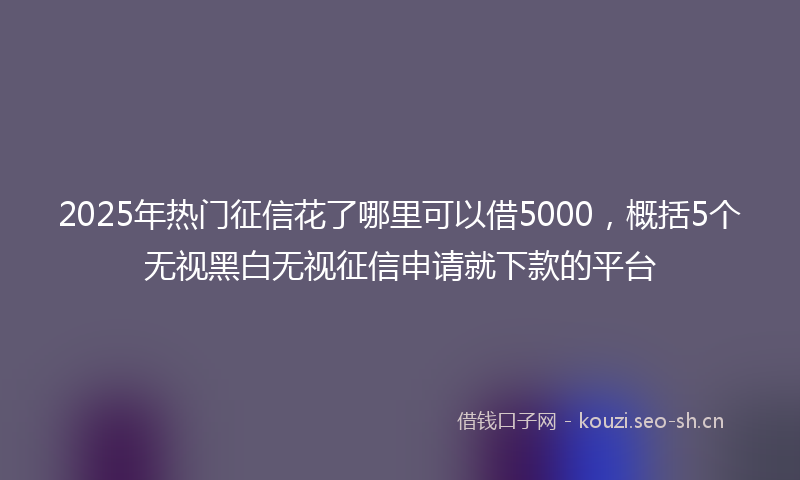 2025年热门征信花了哪里可以借5000，概括5个无视黑白无视征信申请就下款的平台