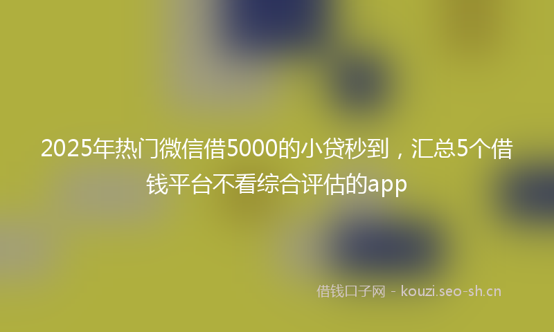 2025年热门微信借5000的小贷秒到，汇总5个借钱平台不看综合评估的app
