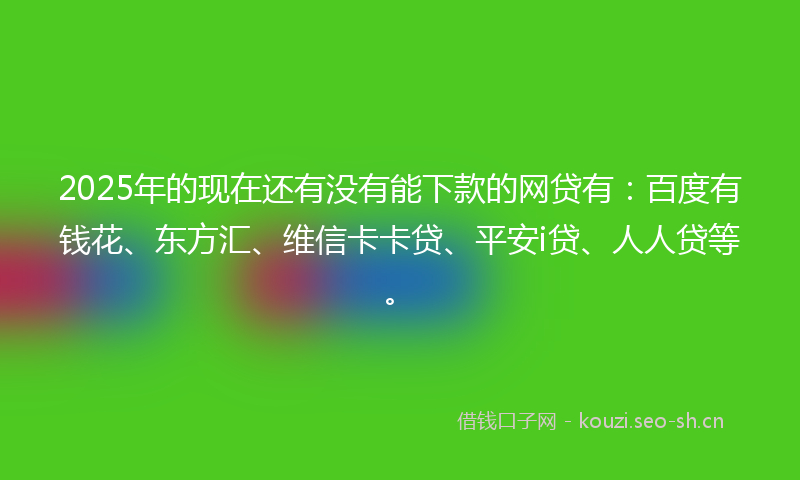 2025年的现在还有没有能下款的网贷有：百度有钱花、东方汇、维信卡卡贷、平安i贷、人人贷等。