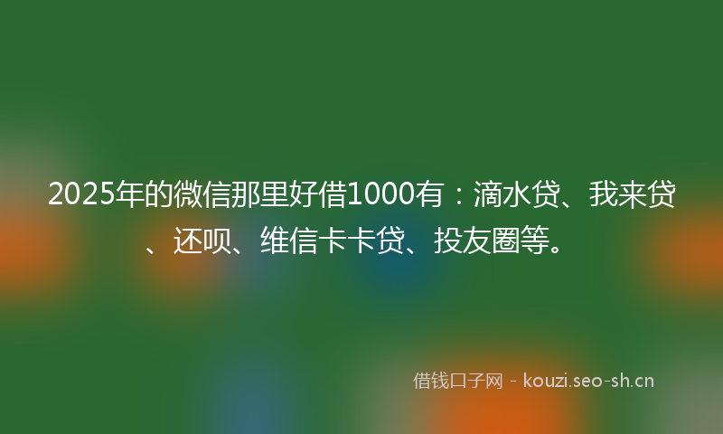 2025年的微信那里好借1000有：滴水贷、我来贷、还呗、维信卡卡贷、投友圈等。