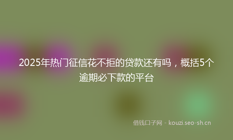 2025年热门征信花不拒的贷款还有吗，概括5个逾期必下款的平台