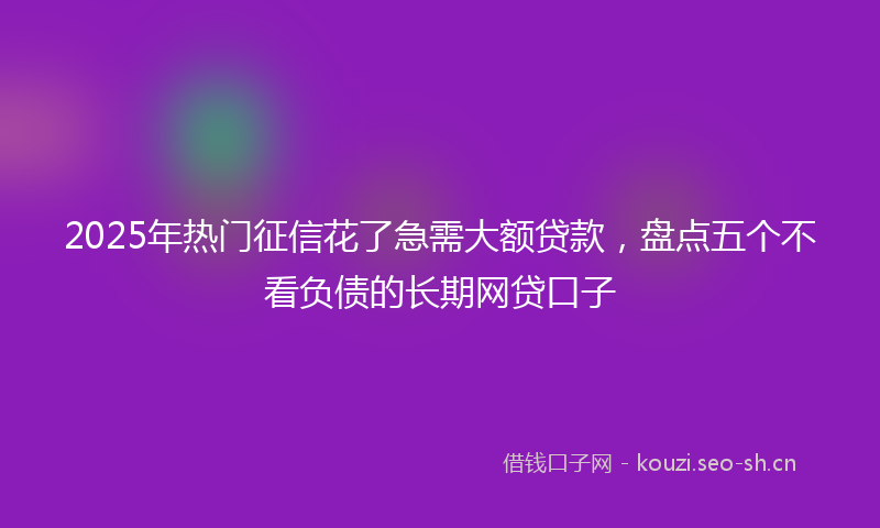 2025年热门征信花了急需大额贷款,盘点五个不看负债的长期网贷口子