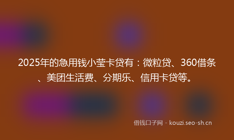 2025年的急用钱小莹卡贷有：微粒贷、360借条、美团生活费、分期乐、信用卡贷等。