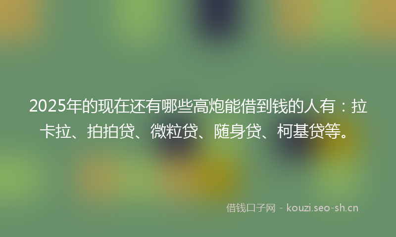 2025年的现在还有哪些高炮能借到钱的人有：拉卡拉、拍拍贷、微粒贷、随身贷、柯基贷等。