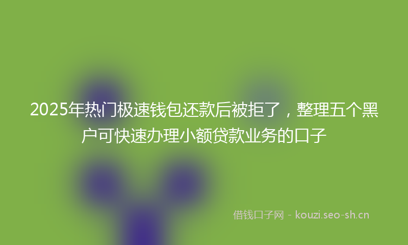 2025年热门极速钱包还款后被拒了，整理五个黑户可快速办理小额贷款业务的口子