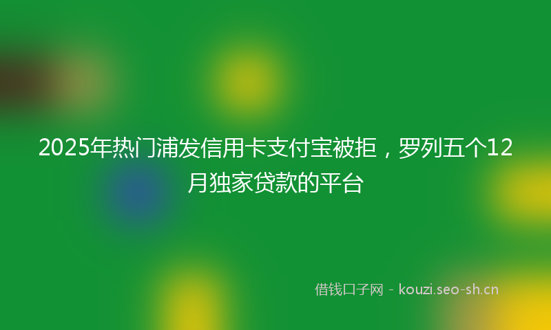 2025年热门浦发信用卡支付宝被拒，罗列五个12月独家贷款的平台