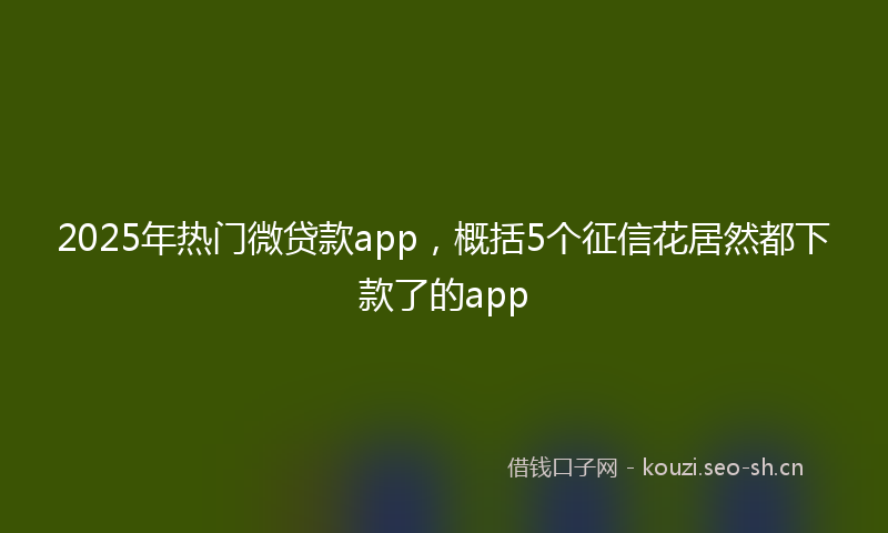 2025年热门微贷款app，概括5个征信花居然都下款了的app