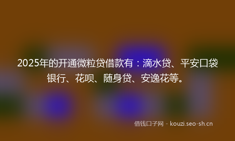 2025年的开通微粒贷借款有：滴水贷、平安口袋银行、花呗、随身贷、安逸花等。